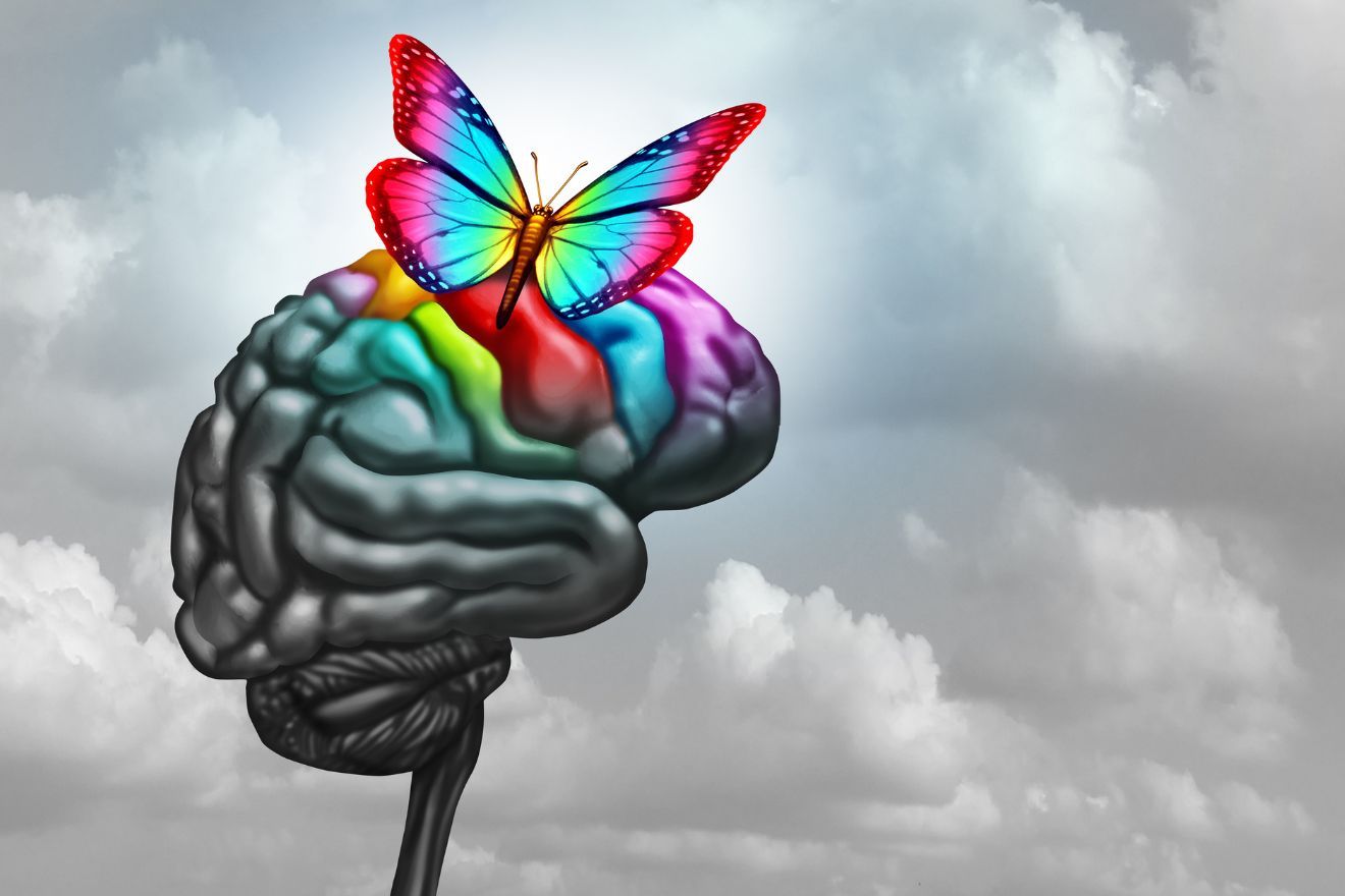 brain with a rainbow butterfly on it