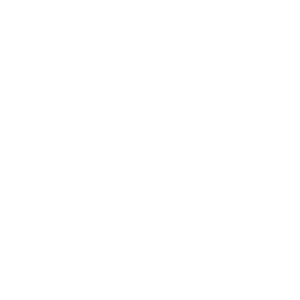 Vrginia Lawyers Hall of Fame