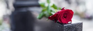 iStock-1054807666-scaled.jpg