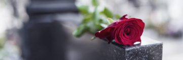 a single rose sits atop a gravestone